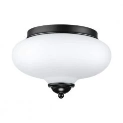 Best reviews of 👏 Hot Sale 😍 Avah 10.2 in. 2-Light Black Flush Mount with Milk White Glass Shade by RRTYO 😀 👏