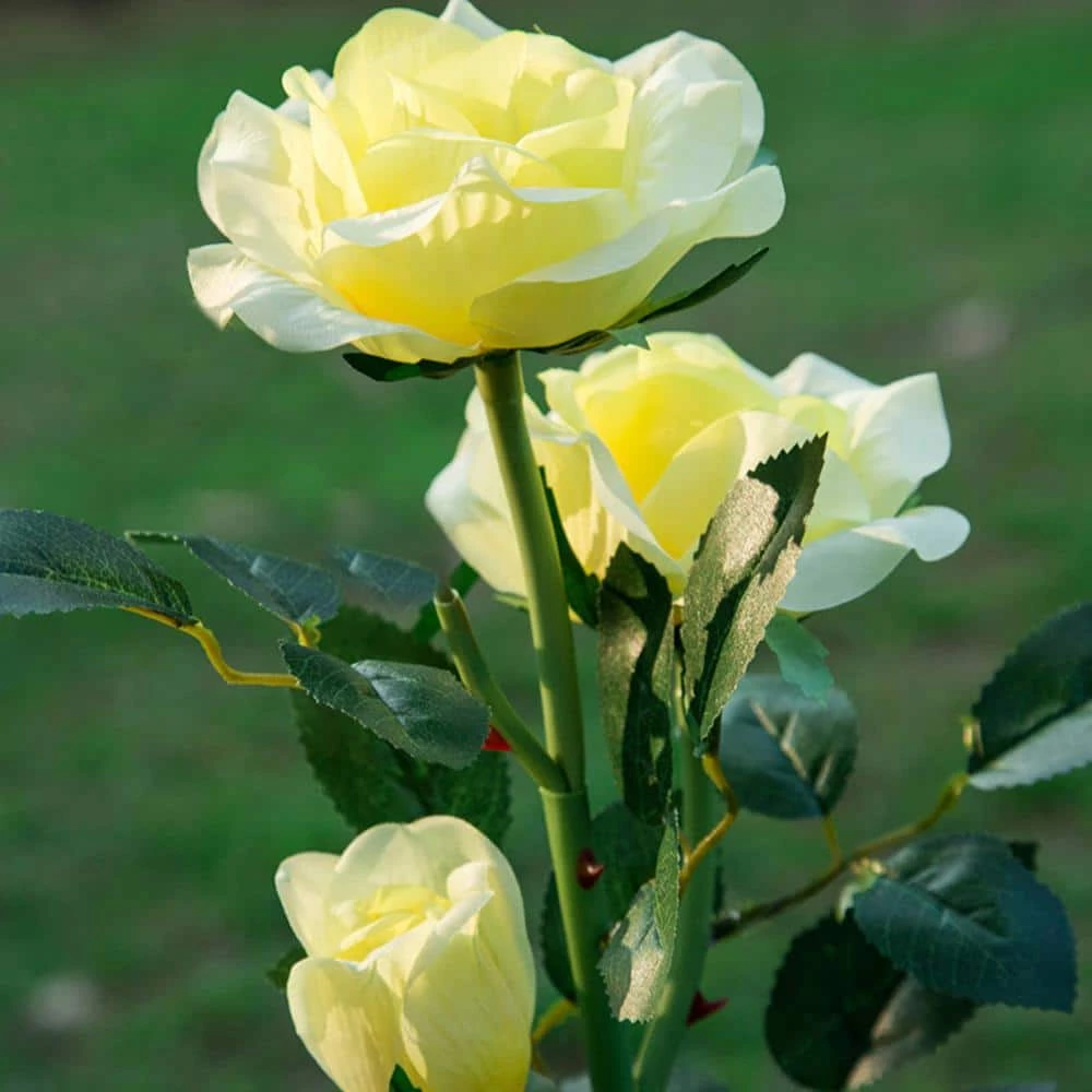 New ๐ฅฐ Wholesale ๐ฏ Outdoor Solar Yellow Rose Flower Light 3 Heads Rose Decorative Stake Garden Light for Backyard Decor by LamQee ๐ ๐ฏ - Image 6